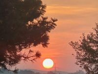 Gebraucht Fiat Ducato 116 PS (85 kW) 2014 Weiß Van