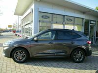 gebraucht Ford Kuga 2,0 ST-Line X Ecoblue MHEV 2x4