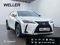 Gebraucht Lexus UX 250h 184 PS (135 kW) 2022 Weiß SUV