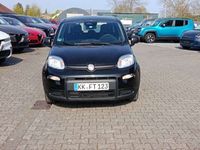 Bild 2