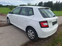 Gebraucht Skoda Fabia Active 90 PS (66 kW) 2017 Candyweiss Kleinwagen