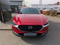 Gebraucht Mazda CX-30 Selection 150 PS (110 kW) 2022 Rot SUV