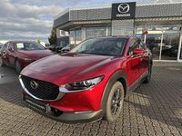 Gebraucht Mazda CX-30 Selection 122 PS (89 kW) 2019 Soul red crystal m SUV