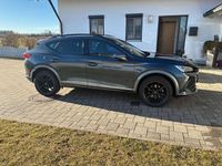 Gebraucht Cupra Formentor 150 PS (110 kW) 2024 SUV