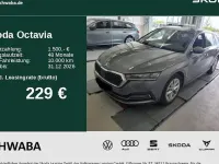 Gebraucht Skoda Octavia Style 150 PS (110 kW) 2023 Grau Kombi