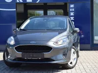 Gebraucht Ford Fiesta Trend 101 PS (74 kW) 2019 Magneticgrau metallic Kleinwagen