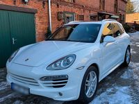 Gebraucht Porsche Cayenne 386 PS (283 kW) 2014 Weiß SUV