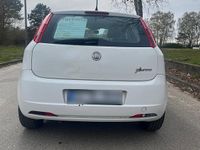 Gebraucht Fiat Punto 48 PS (35 kW) 2009 Weiß Kleinwagen