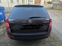 Gebraucht Skoda Octavia 179 PS (131 kW) 2014 Braun Kleinwagen