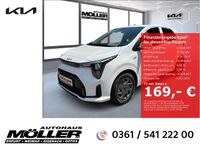 Neu Kia Picanto Vision 68 PS (50 kW) 2026 Weiss Kleinwagen