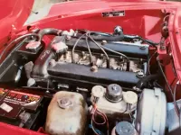 Gebraucht Alfa Romeo Spider 128 PS (94 kW) 1979 Rot Cabrio