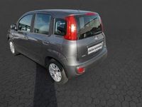 Gebraucht Fiat Panda Easy 69 PS (50 kW) 2017 Grau Kleinwagen