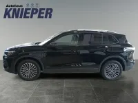 Neu VW Tiguan Life 204 PS (150 kW) 2025 Grenadillschwarz metallic SUV