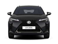 Neu Lexus UX 300h Sport Design Packet 199 PS (146 kW) 2025 Graphitschwarz SUV