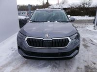 Neu Skoda Karoq Selection 150 PS (110 kW) 2025 Graphitgrau metallic SUV