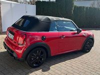 Gebraucht Mini John Cooper Works Cabriolet 178 PS (130 kW) 2023 Rot Cabrio