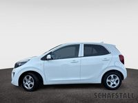 Gebraucht Kia Picanto Vision 67 PS (49 kW) 2024 Weiss ((ud) schneeweiss) Kleinwagen