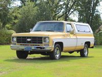 Gebraucht Chevrolet Silverado 200 PS (147 kW) 1977 Beige SUV