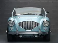Gebraucht Austin Healey 100 90 PS (66 kW) 1956 Cabrio