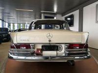Gebraucht Mercedes 230 120 PS (88 kW) 1966 Weiß Limousine