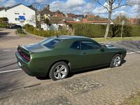 Gebraucht Dodge Challenger SXT 309 PS (227 kW) 2022 Grün Coupé