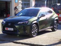 Gebraucht Lexus UX 250h 184 PS (135 kW) 2024 Grün SUV