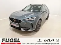 Usata Cupra Formentor VZ 245 CV (180 kW) 2022 Verde SUV