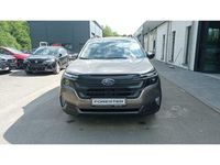 Neu Subaru Forester Exclusive+ 136 PS (100 kW) 2025 Braun SUV