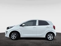 Gebraucht Kia Picanto Vision 67 PS (49 kW) 2024 Weiss ((ud) schneeweiss) Kleinwagen