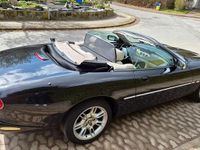 Gebraucht Jaguar XK8 284 PS (208 kW) 2021 Schwarz Cabrio