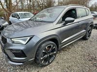 Gebraucht Cupra Ateca 191 PS (140 kW) 2024 Graphitgrau SUV