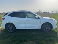Gebraucht Ford Kuga ST-Line 224 PS (164 kW) 2021 Weiß SUV