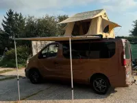 Gebraucht Opel Vivaro 145 PS (106 kW) 2016 Braun Van / Kleinbus
