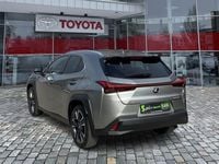 Gebraucht Lexus UX 184 PS (135 kW) 2023 Andere SUV