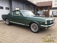 Gebraucht Ford V8 Fastback 200 PS (147 kW) 1965 Ivy green met. Coupé