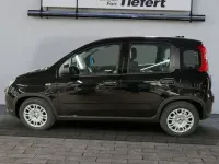 Occasion Fiat Panda 51 ch (37 kW) 2024 Noir Citadine