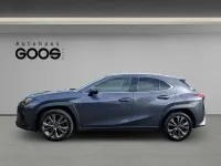 Gebraucht Lexus UX 250h 184 PS (135 kW) 2024 Grau SUV