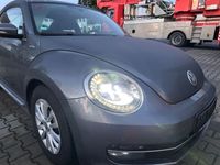 gebraucht VW Beetle 1.4 Design * TÜV neu * Navi *