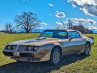 gebraucht Pontiac Trans Am Bandit 6.6l V8