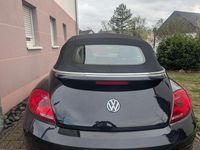 Gebraucht VW Beetle Allstar 105 PS (77 kW) 2016 Schwarz Kleinwagen