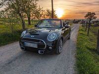 gebraucht Mini Cooper S Cabriolet Sondermod. Pepper Sportsitze