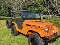 Gebraucht Jeep Wrangler 103 PS (75 kW) 1974 Orange SUV