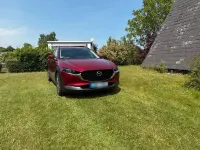 Gebraucht Mazda CX-30 Selection 150 PS (110 kW) 2020 Rot SUV