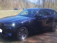 Gebraucht Mazda CX-60 254 PS (186 kW) 2024 Blau SUV