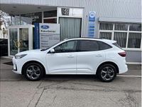 Neu Ford Kuga ST-Line 151 PS (111 kW) 2026 Weiß (frostweiß) SUV