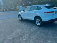 Gebraucht Jaguar F-Pace 300 PS (220 kW) 2016 Weiß SUV
