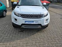 Gebraucht Land Rover Range Rover evoque 190 PS (139 kW) 2012 Weiß SUV