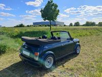 Gebraucht Mini Cooper Cabriolet 63 PS (46 kW) 1995 Grün Cabrio