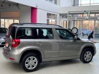 Gebraucht Skoda Yeti Active 200 PS (147 kW) 2014 Beige SUV