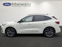 Neu Ford Kuga 190 PS (139 kW) 2026 Metropolisweiß metallic SUV